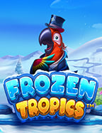 scg9 slot สล็อต เว็บ ใหญ่ แจกสูตรทำเงินง่ายๆ